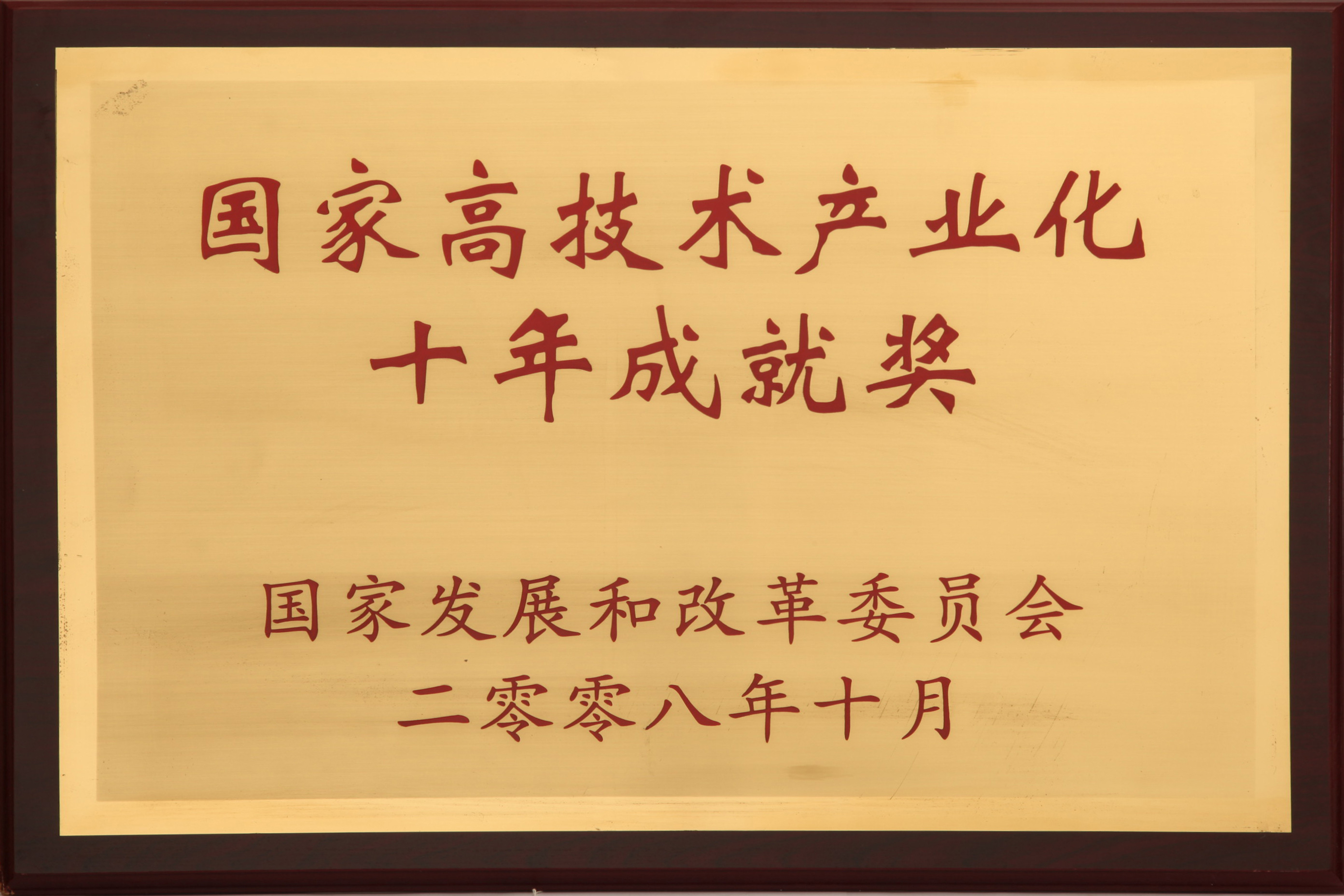 國家高技術產業化十年成就獎